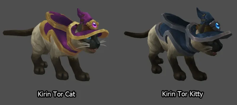 【六款主题猫咪战宠即将入驻魔兽商栈】-大漩涡数据港